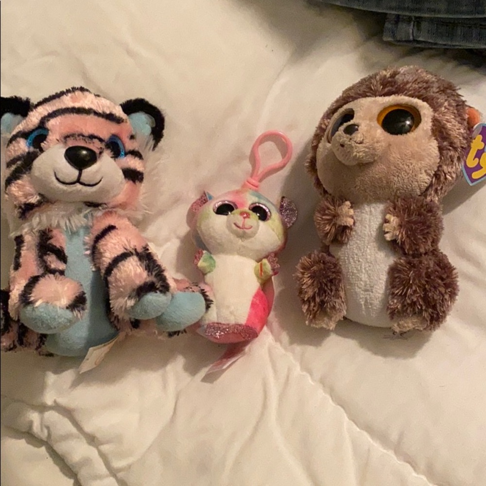Two Ty stuffed animals and one Z animal
